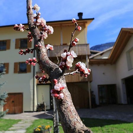 Ferienhof Weingenuss Apartamento Cortina Sulla Strada del Vino Exterior foto