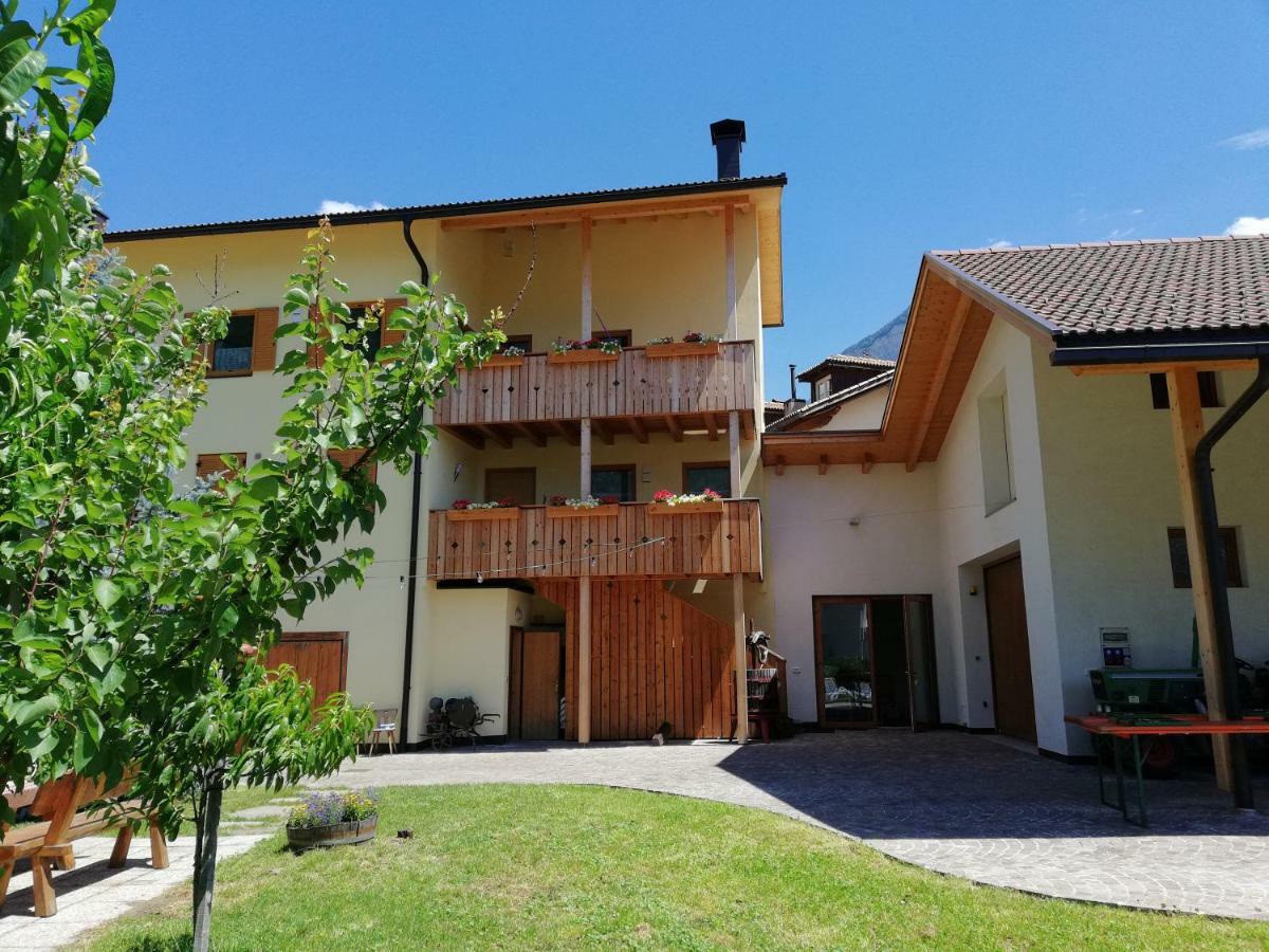 Ferienhof Weingenuss Apartamento Cortina Sulla Strada del Vino Exterior foto