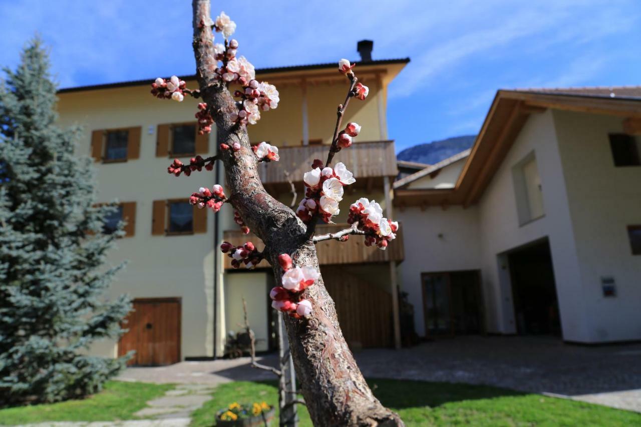 Ferienhof Weingenuss Apartamento Cortina Sulla Strada del Vino Exterior foto